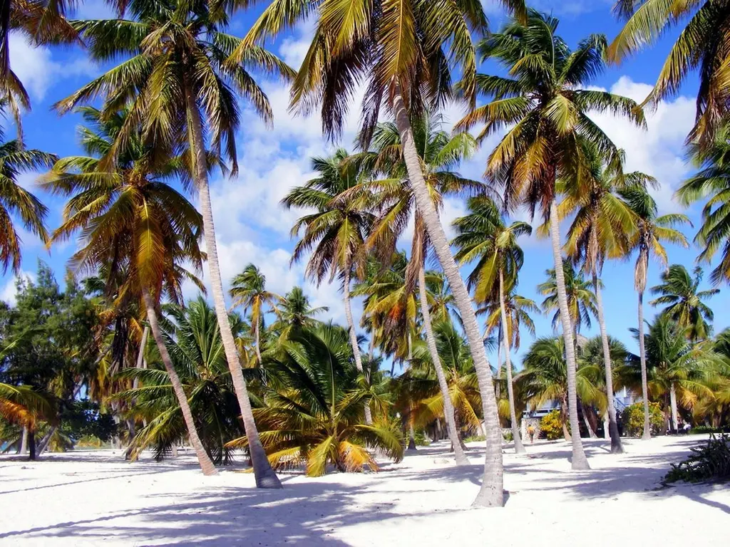 Little paradise Dominica