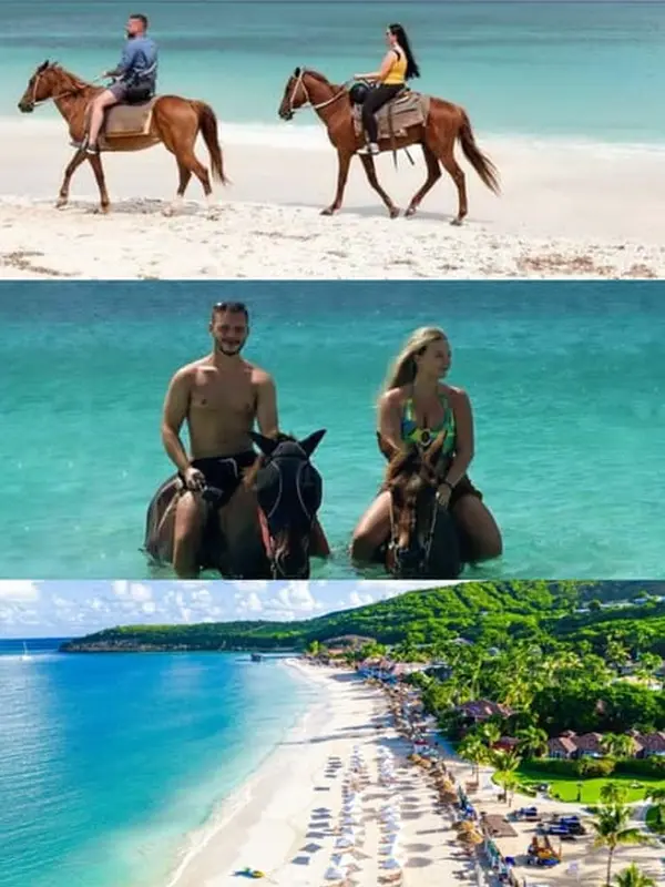Antigua horse back riding tour Antigua horse back riding tour