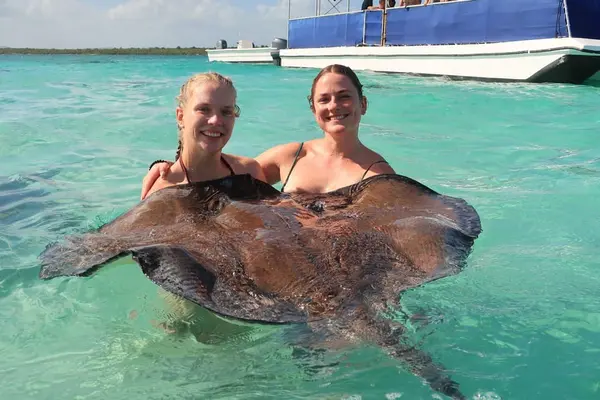 Sting Ray encounter in Antigua Sting Ray encounter in Antigua